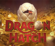 Dragon Hatch